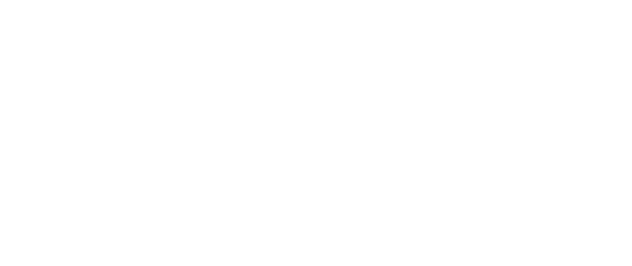 GOSAFE CUSTOMER SUPPORT logo